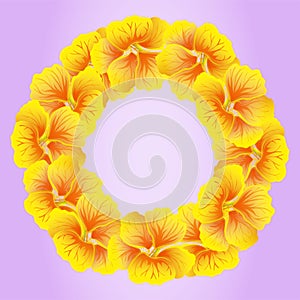 Bright Nasturtium wreath. Wild Yellow flowers. BeautifulÂ Floral circle isolated on pink background. Vector